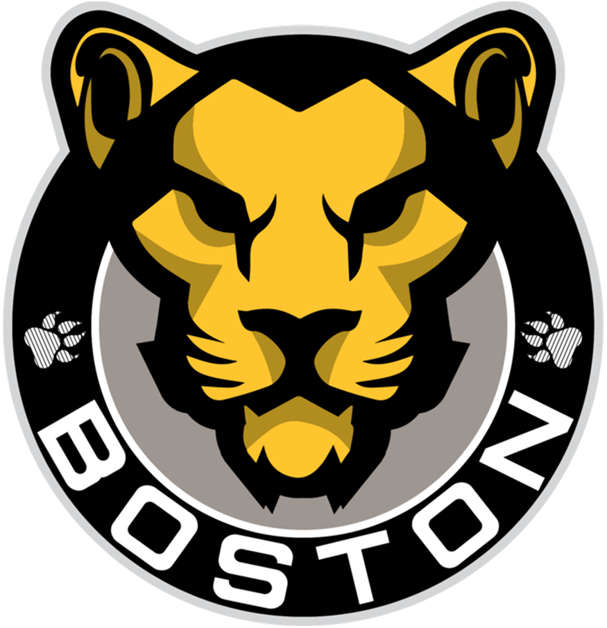 Boston Pride 2017-Pres Primary Logo iron on transfers for T-shirts
